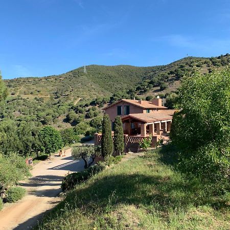 Can Ballus Bed&Breakfast Tiana Exterior photo